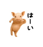 踊る！ブタ（個別スタンプ：13）