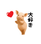 踊る！ブタ（個別スタンプ：23）