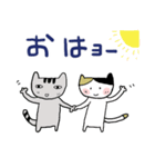 ねこちゃん25（個別スタンプ：1）