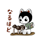 こまたんのほっこり秋の日常スタンプ（個別スタンプ：18）