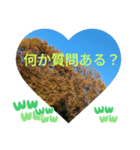 信号が赤に変わって 大好きな日常挨拶（個別スタンプ：1）