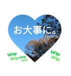 信号が赤に変わって 大好きな日常挨拶（個別スタンプ：19）