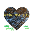 信号が赤に変わって 大好きな日常挨拶（個別スタンプ：40）