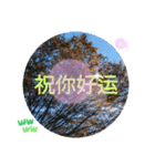 きれいに撮れた！紅葉のあいさつ 台湾語（個別スタンプ：25）