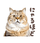 デブ猫の逆襲★猫語にゃんとも！リアル猫（個別スタンプ：6）