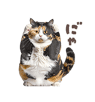 デブ猫の逆襲★猫語にゃんとも！リアル猫（個別スタンプ：9）