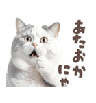 デブ猫の逆襲★猫語にゃんとも！リアル猫（個別スタンプ：10）
