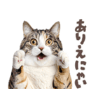 デブ猫の逆襲★猫語にゃんとも！リアル猫（個別スタンプ：11）