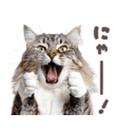 デブ猫の逆襲★猫語にゃんとも！リアル猫（個別スタンプ：17）
