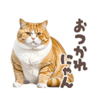 デブ猫の逆襲★猫語にゃんとも！リアル猫（個別スタンプ：21）