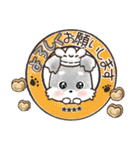 【名前が入る】愛犬♡シュナウザー★ご挨拶（個別スタンプ：5）