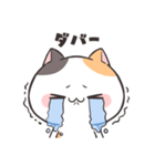 毒舌ダルにゃん！（個別スタンプ：19）