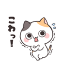 毒舌ダルにゃん！（個別スタンプ：25）