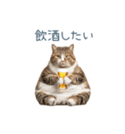 酒クズねこ【面白い・猫】（個別スタンプ：3）