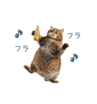 酒クズねこ【面白い・猫】（個別スタンプ：4）