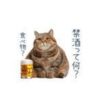 酒クズねこ【面白い・猫】（個別スタンプ：5）
