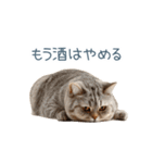 酒クズねこ【面白い・猫】（個別スタンプ：6）