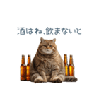 酒クズねこ【面白い・猫】（個別スタンプ：7）