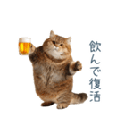 酒クズねこ【面白い・猫】（個別スタンプ：9）
