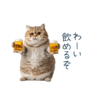 酒クズねこ【面白い・猫】（個別スタンプ：11）