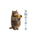 酒クズねこ【面白い・猫】（個別スタンプ：15）