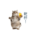 酒クズねこ【面白い・猫】（個別スタンプ：16）