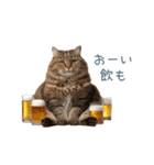酒クズねこ【面白い・猫】（個別スタンプ：17）