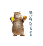 酒クズねこ【面白い・猫】（個別スタンプ：19）