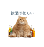 酒クズねこ【面白い・猫】（個別スタンプ：21）