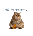酒クズねこ【面白い・猫】（個別スタンプ：24）