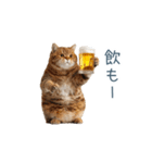 酒クズねこ【面白い・猫】（個別スタンプ：27）