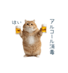 酒クズねこ【面白い・猫】（個別スタンプ：28）