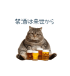 酒クズねこ【面白い・猫】（個別スタンプ：29）