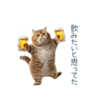 酒クズねこ【面白い・猫】（個別スタンプ：31）