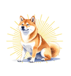 とりあえず返信する柴犬【文字無し】（個別スタンプ：1）