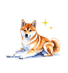 とりあえず返信する柴犬【文字無し】（個別スタンプ：2）