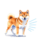 とりあえず返信する柴犬【文字無し】（個別スタンプ：3）