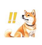 とりあえず返信する柴犬【文字無し】（個別スタンプ：8）