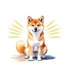 とりあえず返信する柴犬【文字無し】（個別スタンプ：9）