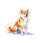 とりあえず返信する柴犬【文字無し】（個別スタンプ：11）