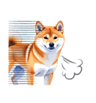 とりあえず返信する柴犬【文字無し】（個別スタンプ：12）