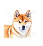とりあえず返信する柴犬【文字無し】（個別スタンプ：13）