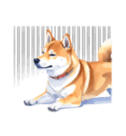 とりあえず返信する柴犬【文字無し】（個別スタンプ：17）