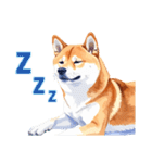 とりあえず返信する柴犬【文字無し】（個別スタンプ：20）