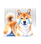 とりあえず返信する柴犬【文字無し】（個別スタンプ：23）