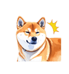 とりあえず返信する柴犬【文字無し】（個別スタンプ：31）