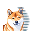 とりあえず返信する柴犬【文字無し】（個別スタンプ：34）