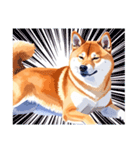 とりあえず返信する柴犬【文字無し】（個別スタンプ：37）
