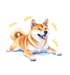 とりあえず返信する柴犬【文字無し】（個別スタンプ：38）
