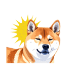 とりあえず返信する柴犬【文字無し】（個別スタンプ：40）